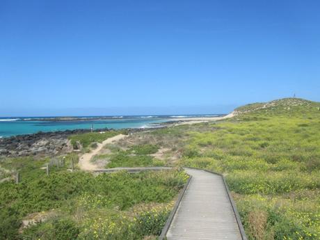 Le meraviglie naturali australiane…secondo me Le meraviglie naturali australiane…secondo me