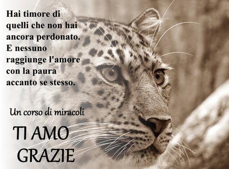 Hai bisogno di perdonare tuo fratello, perché insieme condividete la demenza o il Cielo. Parte 3. Hai bisogno di perdonare tuo fratello, perché insieme condividete la demenza o il Cielo. Parte 3.