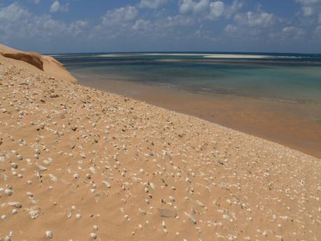 Consigli per un viaggio fai da te in Mozambico (Africa) incluso l’arcipelago Bazaruto Consigli per un viaggio fai da te in Mozambico (Africa) incluso l’arcipelago Bazaruto