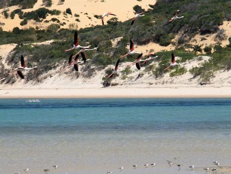 Consigli per un viaggio fai da te in Mozambico (Africa) incluso l’arcipelago Bazaruto Consigli per un viaggio fai da te in Mozambico (Africa) incluso l’arcipelago Bazaruto