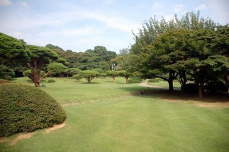 Le stagioni del Giappone Shinjuku Gyoen di Tokyo