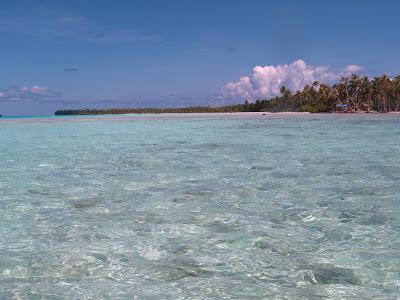 Un viaggio di nozze ecologico? Si può fare! Un viaggio di nozze ecologico? Si può fare!