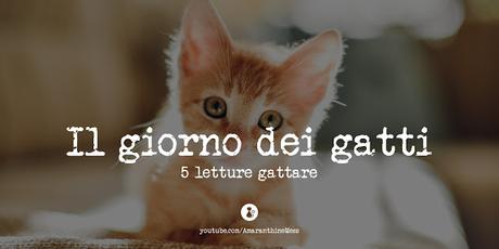 giorno dei gatti 17 febbraio giorno dei gatti 17 febbraio