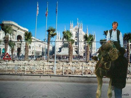 # Palme Piazza Duomo Milano # Palme Piazza Duomo Milano