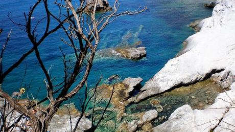 5 Motivi per visitare Ponza Traghetti per Ponza
