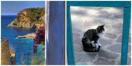 5 Motivi per visitare Ponza Visitare Ponza