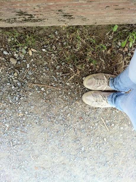 Lucca city walls Lucca city walls