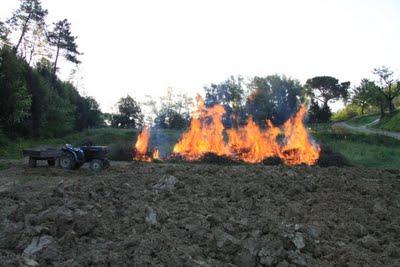 earth day, un po' di buon senso a Pierino earth day, un po' di buon senso a Pierino