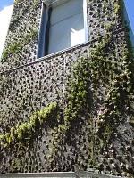 Un giardino verticale a San Francisco Un giardino verticale a San Francisco