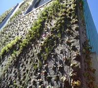 Un giardino verticale a San Francisco Un giardino verticale a San Francisco