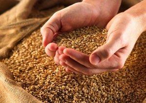 Menopausa: ecco cosa mangiare per rafforzare le ossa alimentazione menopausa