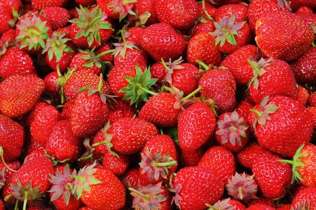 Le fragole: curiosità, storia, poesie e canzoni Fragole Gluten Free Travel & Living