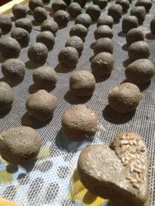 Pasqua in arrivo, niente uova ma bombe verdi: prepara e regala seed bombs! Pasqua in arrivo, niente uova ma bombe verdi: prepara e regala seed bombs!