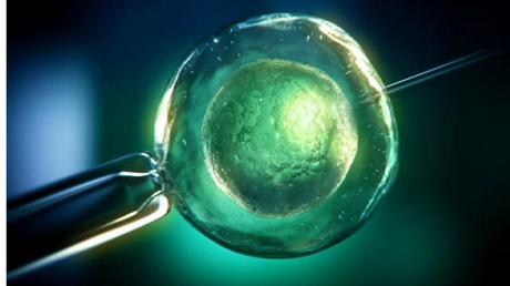 Costruito il primo prototipo di “wormhole” che permette i viaggi nel tempo wormhole