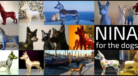 Nina for the dogs – a sostegno degli animali Nina for the dogs – a sostegno degli animali