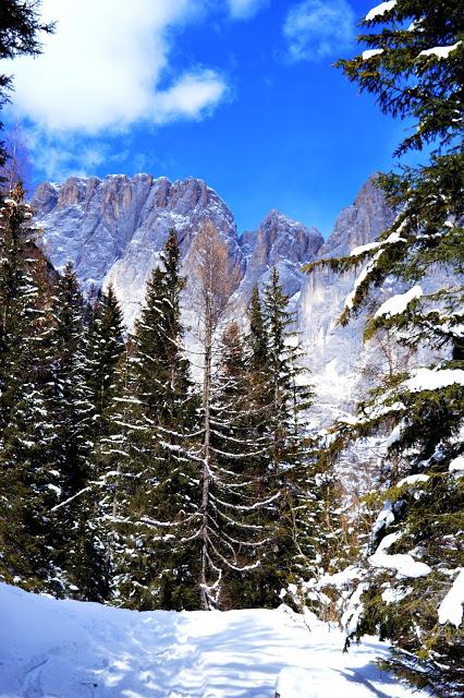 marmolada marmolada