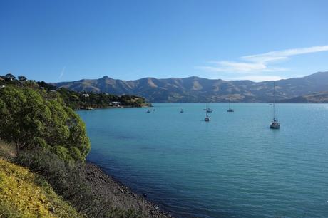 #B_inNewZealand – Settimana 5 #B_inNewZealand – Settimana 5