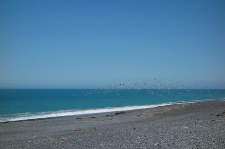#B_inNewZealand – Settimana 5 #B_inNewZealand – Settimana 5