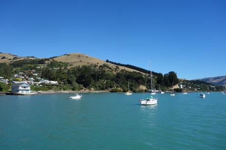 #B_inNewZealand – Settimana 5 #B_inNewZealand – Settimana 5
