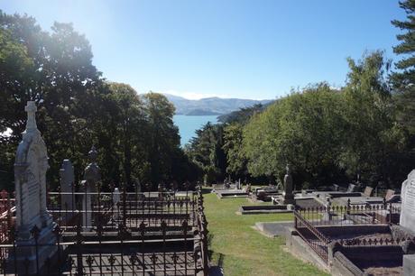 #B_inNewZealand – Settimana 5 #B_inNewZealand – Settimana 5