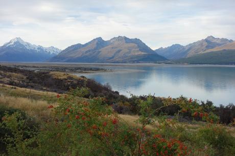 #B_inNewZealand – Settimana 5 #B_inNewZealand – Settimana 5