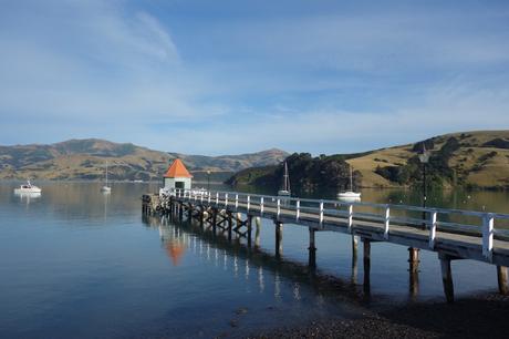 #B_inNewZealand – Settimana 5 #B_inNewZealand – Settimana 5