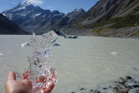 #B_inNewZealand – Settimana 5 #B_inNewZealand – Settimana 5