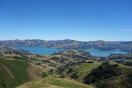 #B_inNewZealand – Settimana 5 #B_inNewZealand – Settimana 5