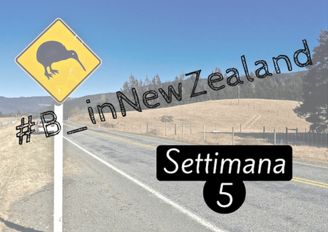 #B_inNewZealand – Settimana 5 #B_inNewZealand – Settimana 5