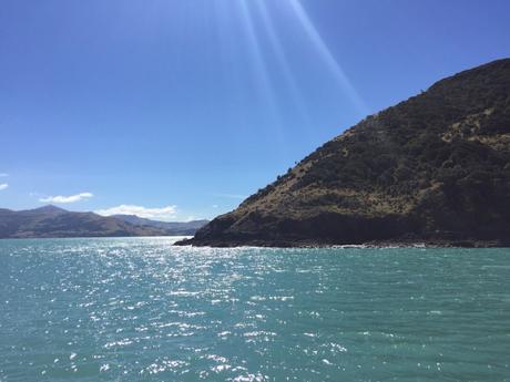 #B_inNewZealand – Settimana 5 #B_inNewZealand – Settimana 5