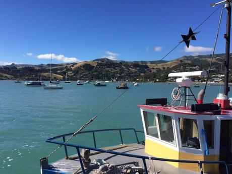 #B_inNewZealand – Settimana 5 #B_inNewZealand – Settimana 5