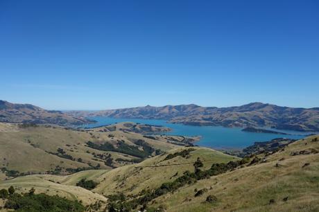 #B_inNewZealand – Settimana 5 #B_inNewZealand – Settimana 5