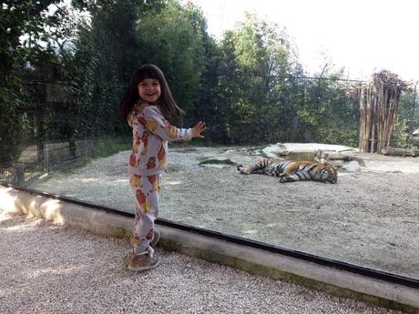 Come vestire i bambini al parco (zoo): un kids outfit con stampe animali Come vestire i bambini al parco (zoo): un kids outfit con stampe animali