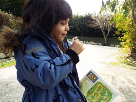 Come vestire i bambini al parco (zoo): un kids outfit con stampe animali Come vestire i bambini al parco (zoo): un kids outfit con stampe animali