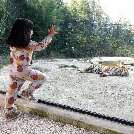 Come vestire i bambini al parco (zoo): un kids outfit con stampe animali Come vestire i bambini al parco (zoo): un kids outfit con stampe animali