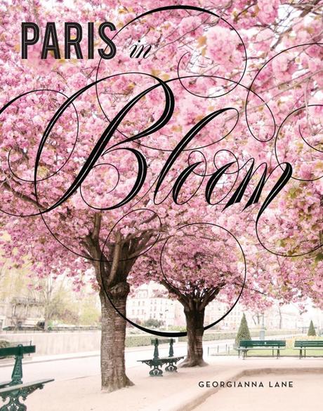 PARIS IN BLOOM by Georgianna Lane ~ A review. PARIS IN BLOOM by Georgianna Lane ~ A review.