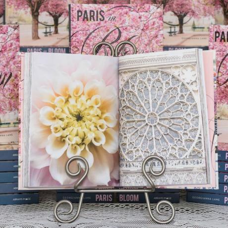 PARIS IN BLOOM by Georgianna Lane ~ A review. PARIS IN BLOOM by Georgianna Lane ~ A review.