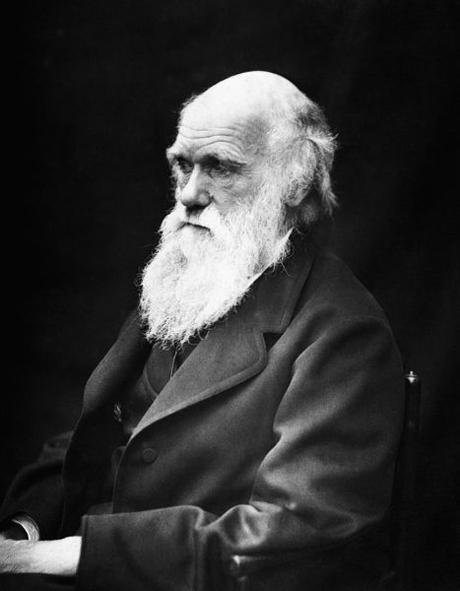 19 Aprile 1882: si spegne a Londra il biologo naturalista inglese Charles Darwin 19 Aprile 1882: si spegne a Londra il biologo naturalista inglese Charles Darwin