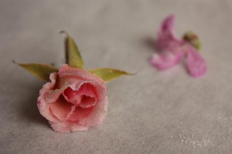 Come si fanno i fiori canditi - DeAbyDay.tv https://upload.wikimedia.org/wikipedia/commons/b/b8/Finished_results_%287303684940%29.jpg