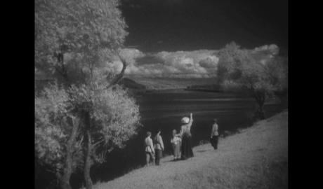 Fine settimana a Lisbona (21-23 aprile) L'immagine può contenere: nuvola, cielo, pianta, albero, spazio all'aperto e natura