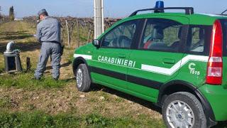 A Foggia sequestro area stoccaggio di migliaia di tonnellate di rifiuti speciali A Foggia sequestro area stoccaggio di migliaia di tonnellate di rifiuti speciali