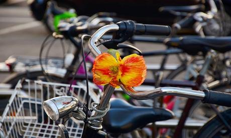 Andare al lavoro in bici riduce il rischio di malattie cardiache. I tragitti “attivi” migliorano la salute Andare al lavoro in bici riduce il rischio di malattie cardiache. I tragitti