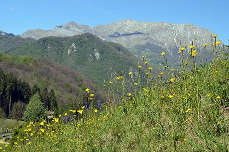 La stagione più bella. Pasturo - Fondovalle