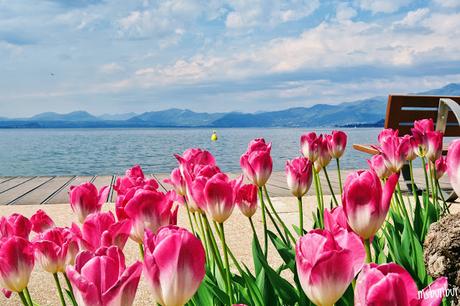 TRAVEL: weekend di relax a Lazise, sul Lago di Garda TRAVEL: weekend di relax a Lazise, sul Lago di Garda