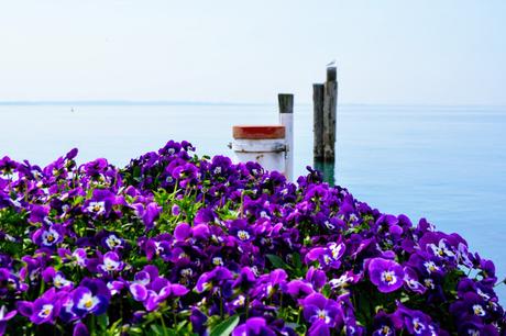 TRAVEL: weekend di relax a Lazise, sul Lago di Garda TRAVEL: weekend di relax a Lazise, sul Lago di Garda