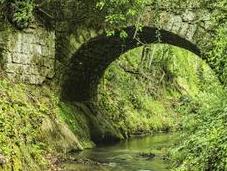 ponti della Clodia?