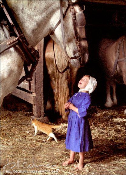 Living the old ways ~ The Amish Culture. Living the old ways ~ The Amish Culture.