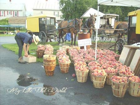 Living the old ways ~ The Amish Culture. Living the old ways ~ The Amish Culture.