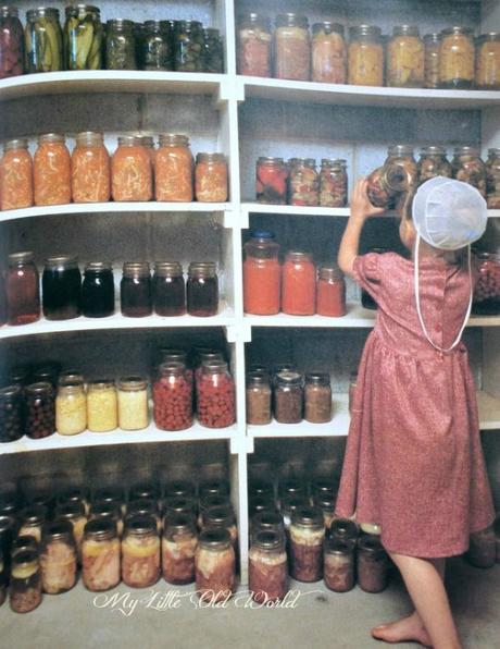 Living the old ways ~ The Amish Culture. Living the old ways ~ The Amish Culture.