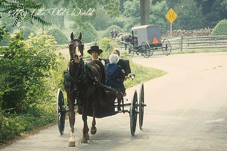 Living the old ways ~ The Amish Culture. Living the old ways ~ The Amish Culture.